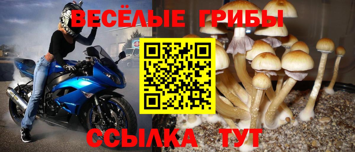 Галлюциногенные грибы мухоморы Заводоуковск