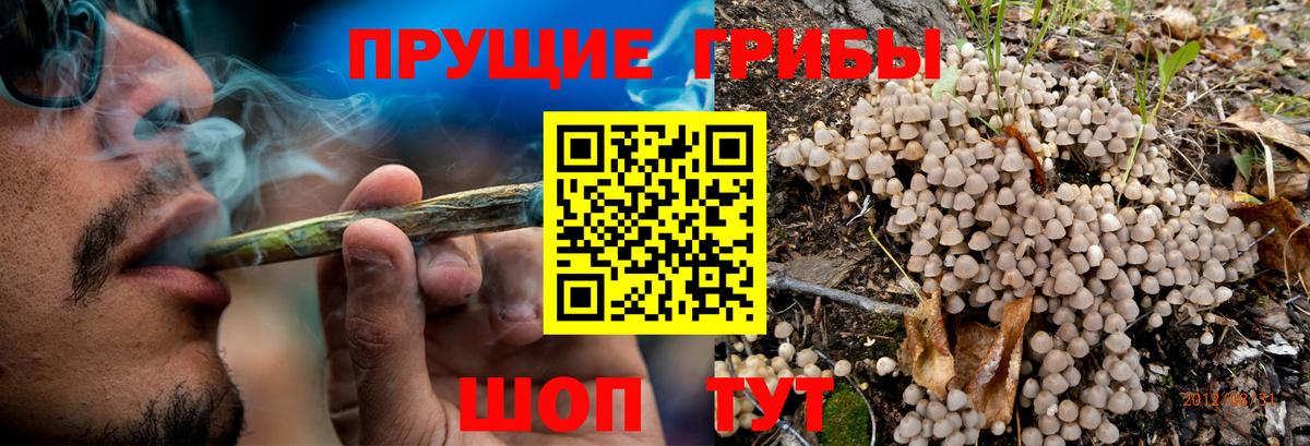 Галлюциногенные грибы Psilocybe  Галлюциногенные грибы мухоморы  Вход с VPN  Заводоуковск 